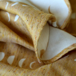 Phases Zenzero e Limone