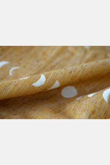 Phases Zenzero e Limone