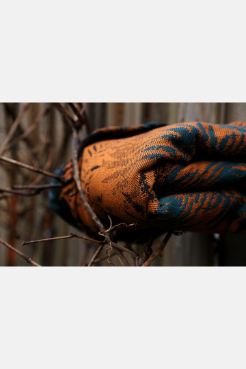Fern Kingfisher