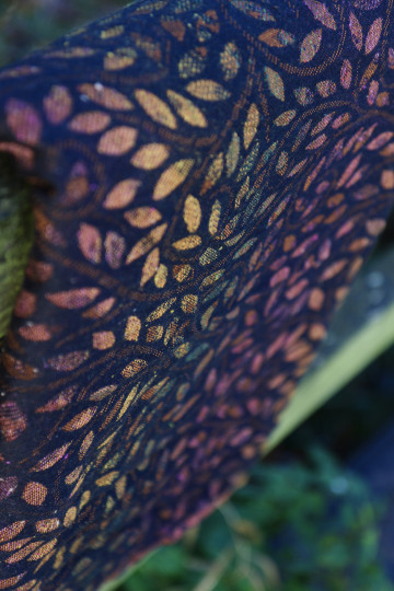 Solnce Eos Drums of Autumn | Luxury Woven Wrap