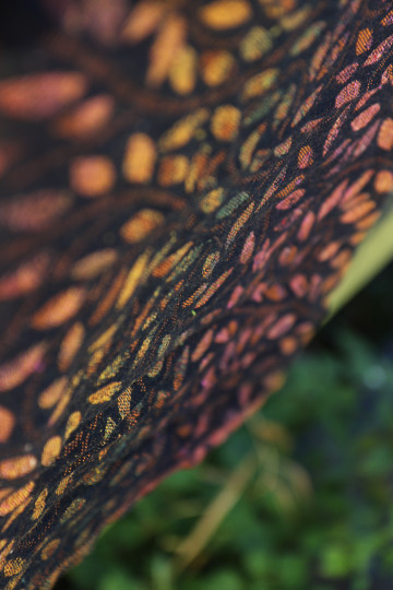 Solnce Eos Drums of Autumn | Luxury Woven Wrap