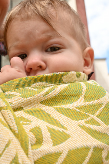Solnce Genesis Shaken, Not Stirred | Luxury Woven Wrap