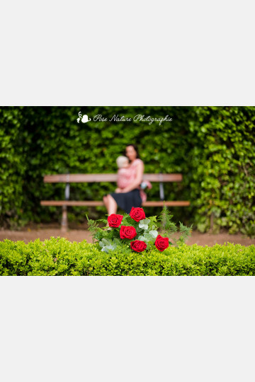 Farfalla Rouge