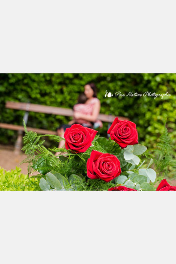 Farfalla Rouge