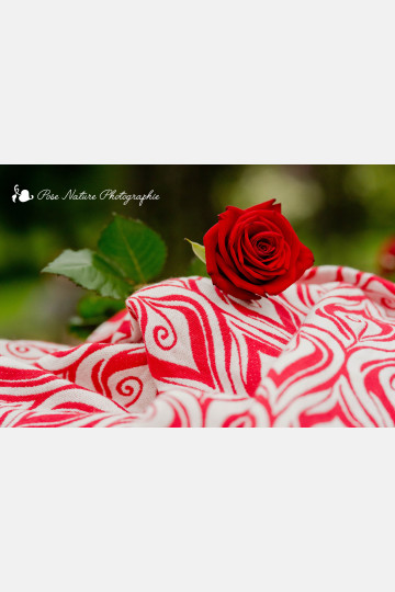 Farfalla Rouge